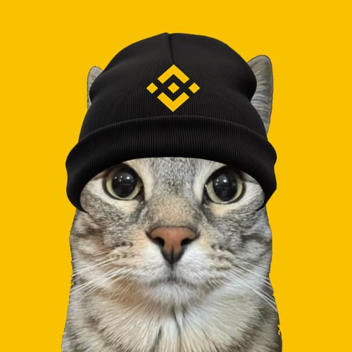 Zazu with Binance Hat
